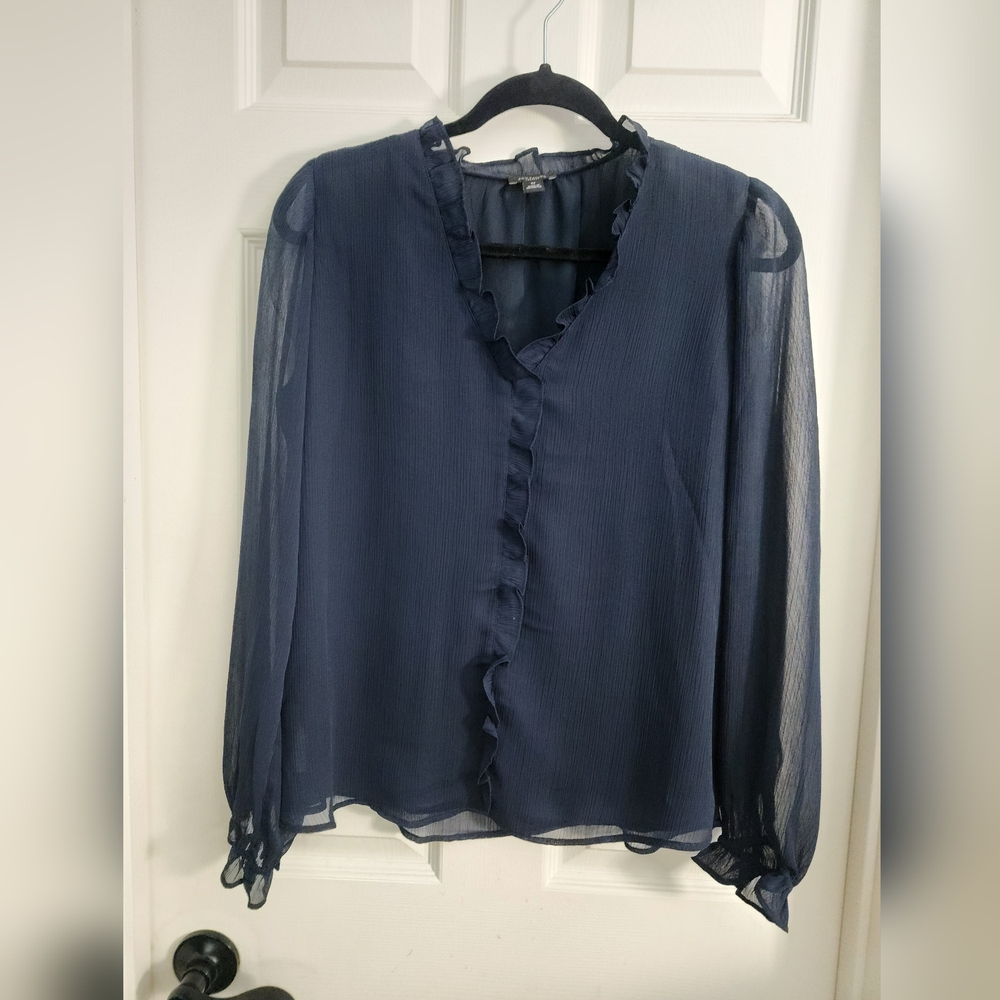 Blue Sheer Blouse